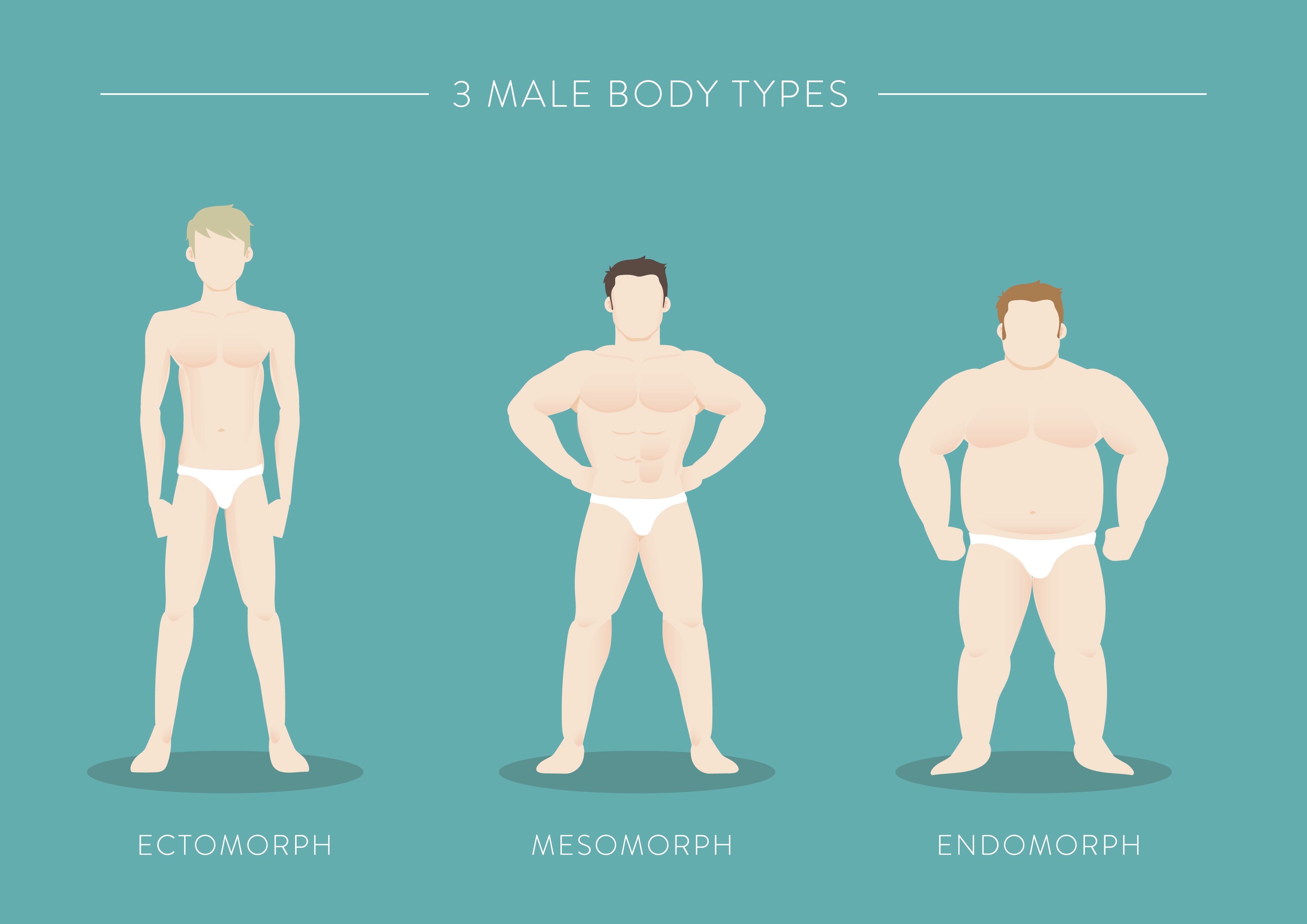 What your body type means — endomorph, mesomorph and ectomorph